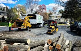 Best Firewood Processing and Delivery  in Red Bluff, CA