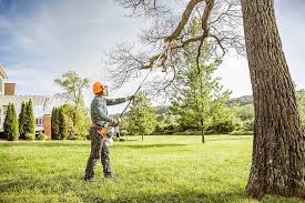 Best Tree Maintenance Programs  in Red Bluff, CA